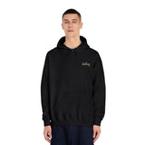 Destiny Golf Hoodie, Unisex Hooded Sweatshirt, Motivational Sportswear, Stylish Golf Gift, Casual Wear, Athletic Apparel