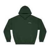 Destiny Golf Hoodie, Unisex Hooded Sweatshirt, Motivational Sportswear, Stylish Golf Gift, Casual Wear, Athletic Apparel