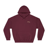 Destiny Golf Hoodie, Unisex Hooded Sweatshirt, Motivational Sportswear, Stylish Golf Gift, Casual Wear, Athletic Apparel
