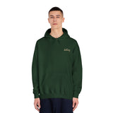 Destiny Golf Hoodie, Unisex Hooded Sweatshirt, Motivational Sportswear, Stylish Golf Gift, Casual Wear, Athletic Apparel