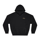 Destiny Golf Hoodie, Unisex Hooded Sweatshirt, Motivational Sportswear, Stylish Golf Gift, Casual Wear, Athletic Apparel