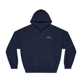 Destiny Golf Hoodie, Unisex Hooded Sweatshirt, Motivational Sportswear, Stylish Golf Gift, Casual Wear, Athletic Apparel