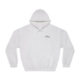 Destiny Golf Hoodie, Unisex Hooded Sweatshirt, Motivational Sportswear, Stylish Golf Gift, Casual Wear, Athletic Apparel